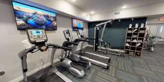 Student Housing - Luxe Belle Gallery 16