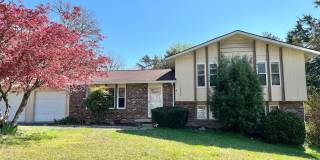 4-Bedroom Home with large fenced yard in Farragut Gallery 1