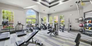 Solano at Chapel Hill Gallery 19