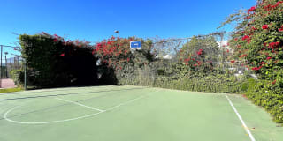 The Ray Apartments Gallery 18