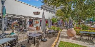 331 CLEVELAND STREET Gallery 56