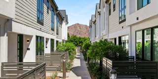 56th at Arcadia Gallery 8