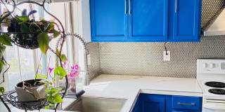 3254 Ashford St Gallery 14