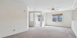 8535 VETERANS HWY #315 Gallery 3