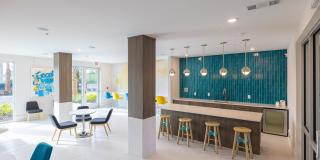 Linz of Viera Gallery 13