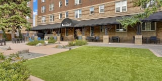 The Novelist Gallery 3