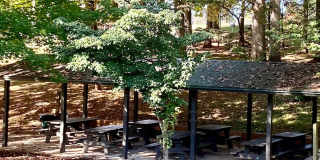 East Asheville - Contemporary Bungalow Gallery 38