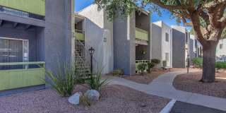 Saguaro Villas Gallery 17