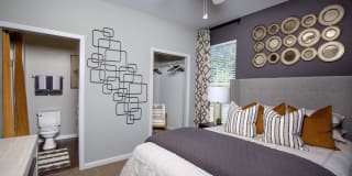 Lake Clearwater Gallery 26