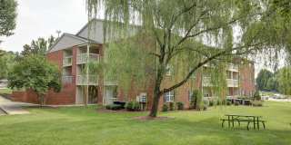 Brookefield Gallery 19