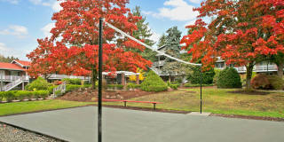 Colonial Square Gallery 14