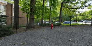 The Forest Apartments Gallery 30