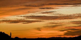 12344 W ALYSSA Lane Gallery 47