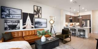 Rowe at Pear Village Gallery 1