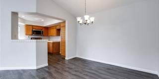 8034 E Snapdragon Gallery 8