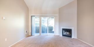 Springbrook Gallery 1