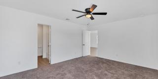 332 Elephants Ear Gallery 11