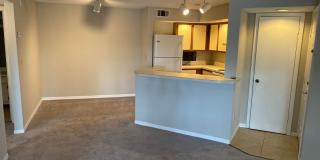 Venetian Place - 1323 Gallery 1