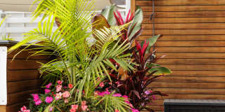 Soho Lofts Gallery 16