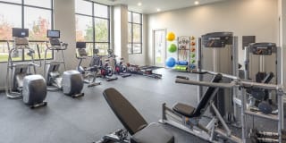 The Heron Downtown Gallery 8