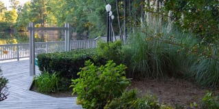 Varia at Oakcrest Gallery 31