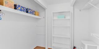 4228 PAGEANT Lane Gallery 20