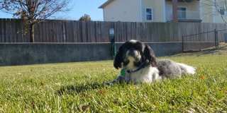 Tall Grass Apartments Gallery 5