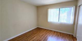 22808 Hilton Head Drive Gallery 14