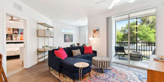 Douglas Grand at Telecom Parkway Gallery 18