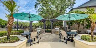 Paradise Island Gallery 50