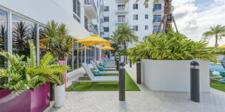 Altis Little Havana Gallery 24