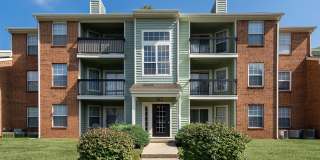 Steeplechase Gallery 1