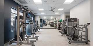 Windsor Riverfront Park Gallery 35