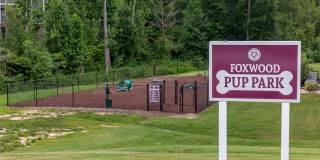 Foxwood Gallery 19