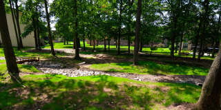 Franklin Park at Greenbelt Station Gallery 14