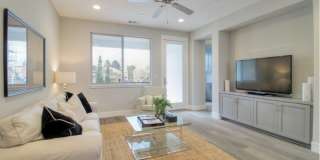 109 Tiger Lily St Gallery 9