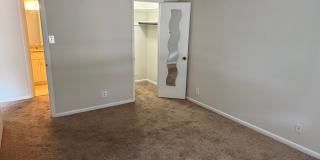 Spacious Ground Floor Condo in Silver Spring Gallery 12