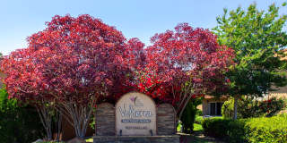 Volterra at La Mesa Gallery 102