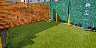 DLUX Lofts Gallery 64