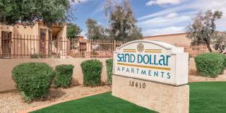 Sand Dollar Gallery 1