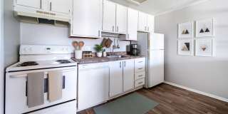 Canyon & Knox Landing Gallery 14