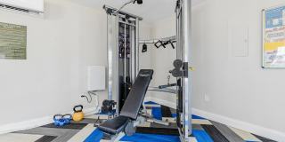 The Place Gallery 13