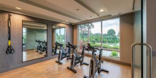 The Emerson Gallery 24