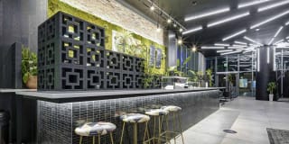 Alea Miami Gallery 13