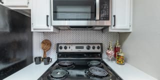 The Orion The Orion Gallery 4