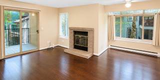Modern Wooded Condo with Upgraded Kitchen & Private Deck Modern Wooded Condo with Upgraded Kitchen & Private Deck Gallery 1