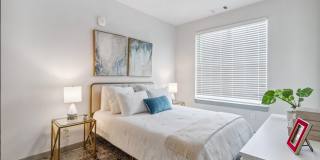 The Belle at the Lamar Gallery 53