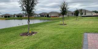 17841 Blazing Star Cir Clermont, FL  34714 United States Gallery 1