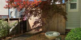 Camp Carson - Minutes from Everywhere you Want to Be Gallery 11