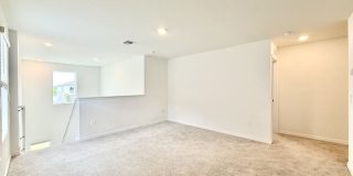 641 Bald Cypress Drive Gallery 30